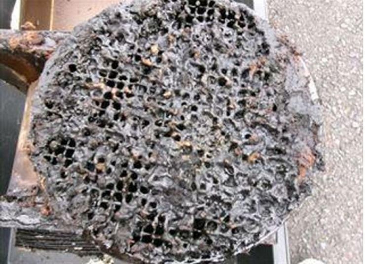 防鳥網清掃前 防鳥網清掃前